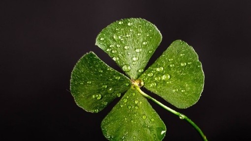 ​The 4-letter-word in business… luck