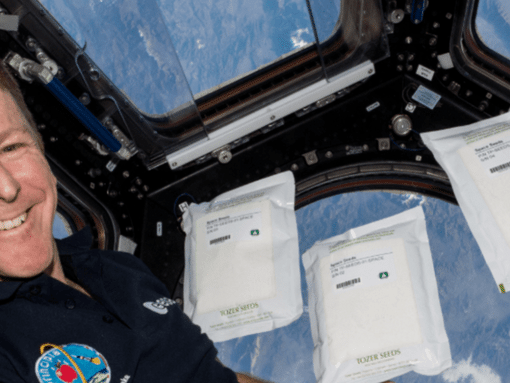 Morson Meets... Astronaut Tim Peake: from Apaches in the armed forces to space travel