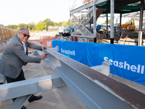 Ged Mason Seashell