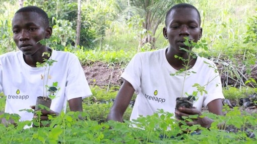 Plant a Tree for Every Placement: our environmental campaign