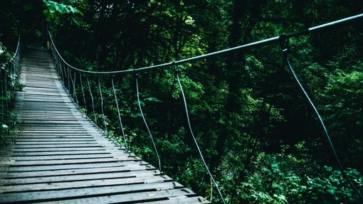 How to... bridge the green skills gap