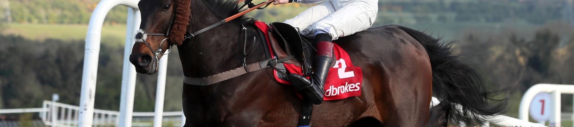 Morson-sponsored horse Clan Des Obeaux retires after winning career