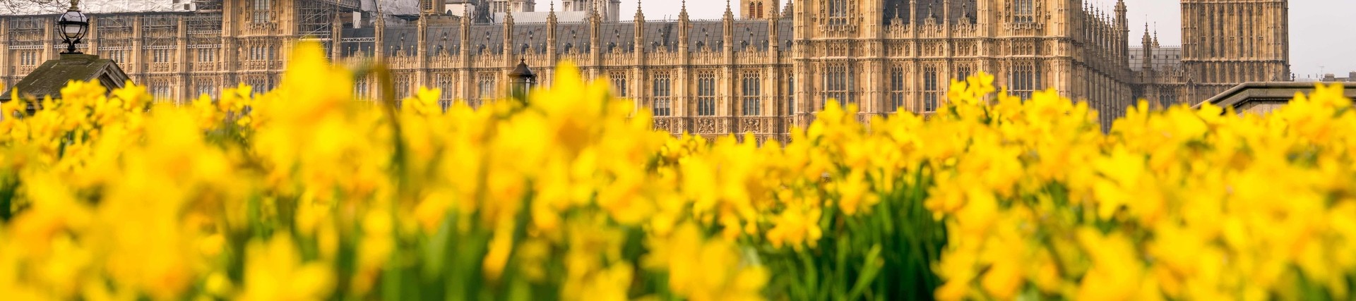 Spring statement 2025