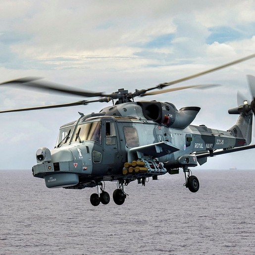 Wildcat